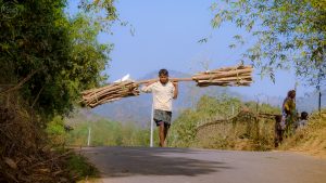 fuelwood collection in hills