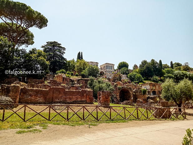 Exploring the Palatine Hill: the birthplace of Rome 3
