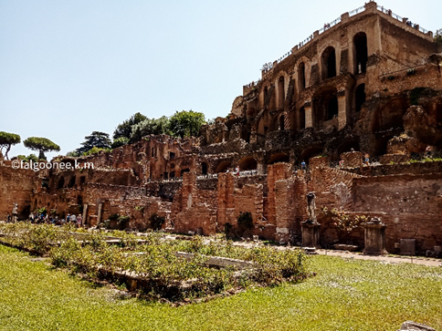Exploring the Palatine Hill: the birthplace of Rome 8