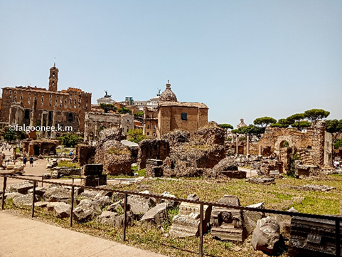 Exploring the Palatine Hill: the birthplace of Rome 9
